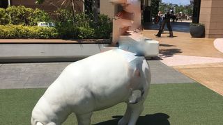 広くて高速近い