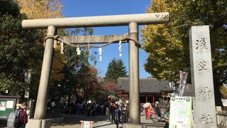 こちらは神社ですよ。