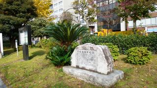 周囲に溶け込んでいます