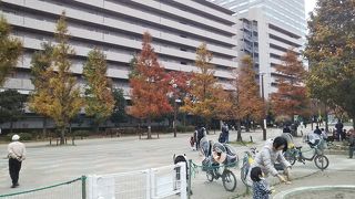 子供と遊べる公園