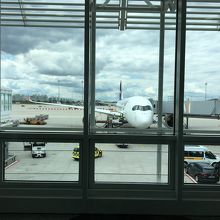 ハブ空港なのでいろいろな飛行機が見られます。