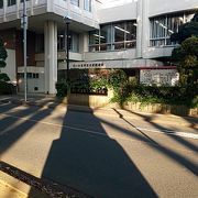 氷川神社の参道