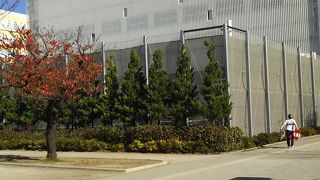 錦糸公園のなかにある体育館