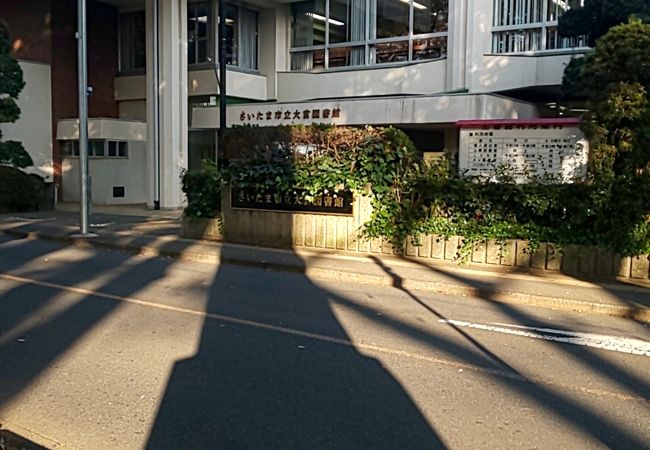 氷川神社の参道