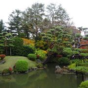 紅葉が楽しめる （酒井氏庭園）