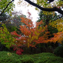 酒井氏庭園