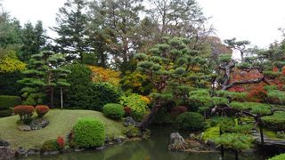 紅葉が楽しめる （酒井氏庭園）