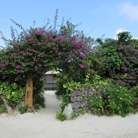 竹富島の民宿 泉屋 By ぽちくんさん 泉屋のクチコミ フォートラベル 竹富島 竹富島の民宿 泉屋 By ぽちくんさん 泉屋のクチコミ フォートラベル 竹富島
