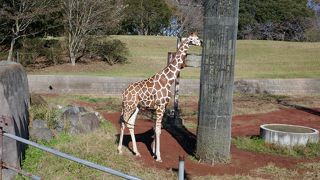 わりと広いです