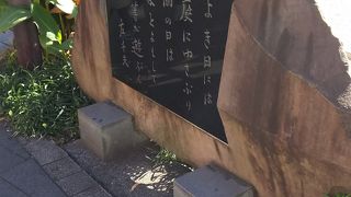 こんなところに