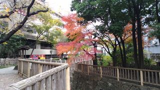 とてもきれい！