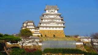 いつ見ても素敵です。