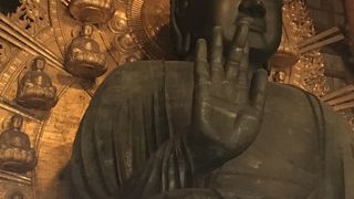 大仏さまを観に！