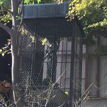 この姿ももう覆われているかも？