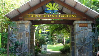 キミドリコウライウグイスを見てきました。