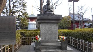 凛とした優しい表情に癒される・・