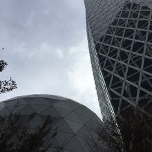 浅草のビールの泡に続いて新宿は繭？