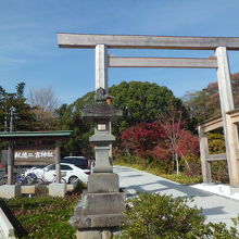 torii 