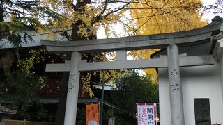 幼少期の遊び場