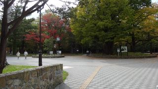 広い公園