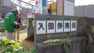 時期によっていろいろ