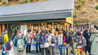 一階の天狗焼の売店は平日にもかかわらず長蛇の列ができていました。