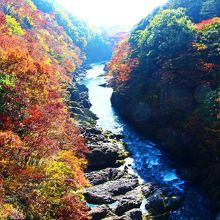 はねたき橋から眺める高津戸峡