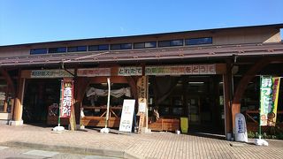 大きなマツタケ