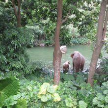 香港ディズニーランド鉄道