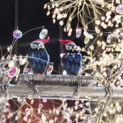 東京ガーデンテラス紀尾井町の前に飾られたクリスマスツリーにHAPPYが隠れています。