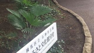 分室もあります。