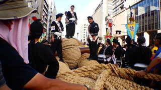 真ん中で見るのが一番