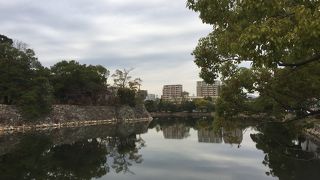 綺麗なお堀です