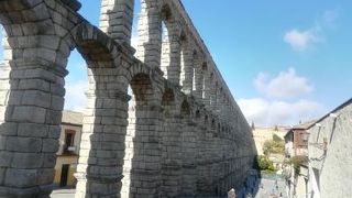 写真に収まらないくらいの大きさ