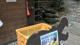 動物との距離が凄く近い