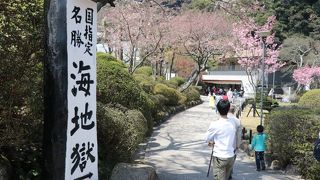 全部回らなくても満足です