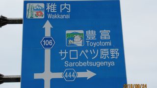 広いひろい牧草地です