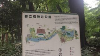 自然豊かな公園