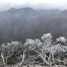 初冬の釈迦ヶ岳山頂