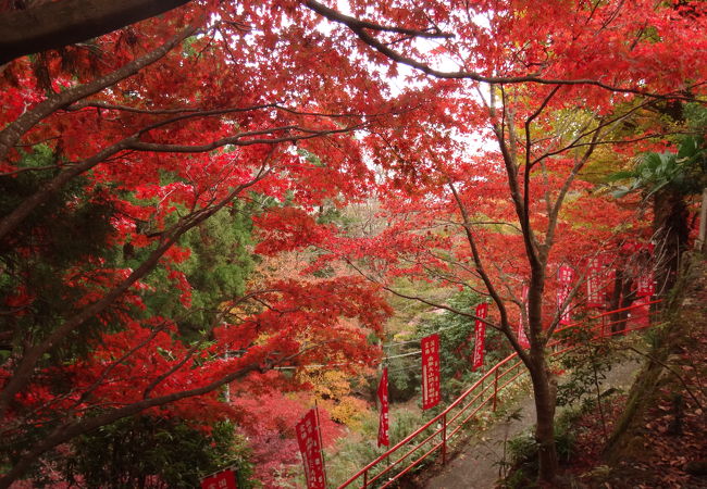 紅葉の名所