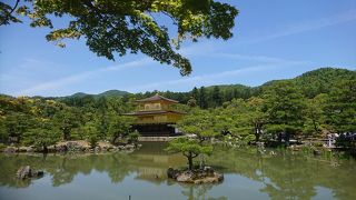 季節ごとに木々も楽しめる金閣寺さん!!