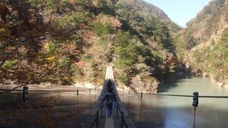 揺れ方が半端ない