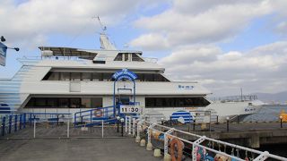 海から函館を見よう！