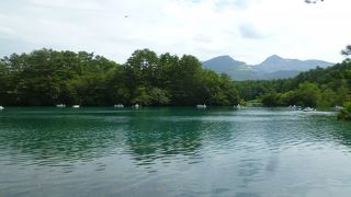 片道４ｋｍの散歩道