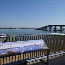 ２階展望台からびわ湖大橋の眺め