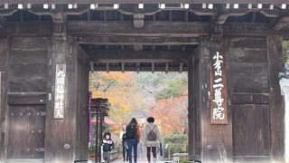 紅葉の名所、展望台からの京都市内もいいです