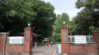 東京美術学校と東京音楽学校