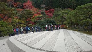 紅葉の時期でとても綺麗でした
