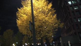 綺麗なイルミネーション