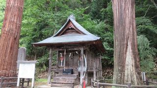 鬱蒼と茂る森の緑に抱かれた厳かな雰囲気